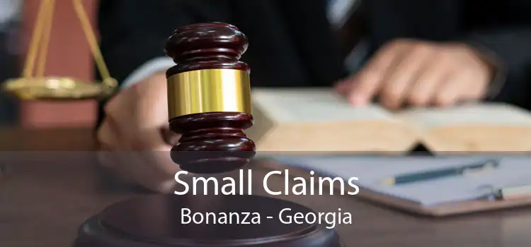 Small Claims Bonanza - Georgia