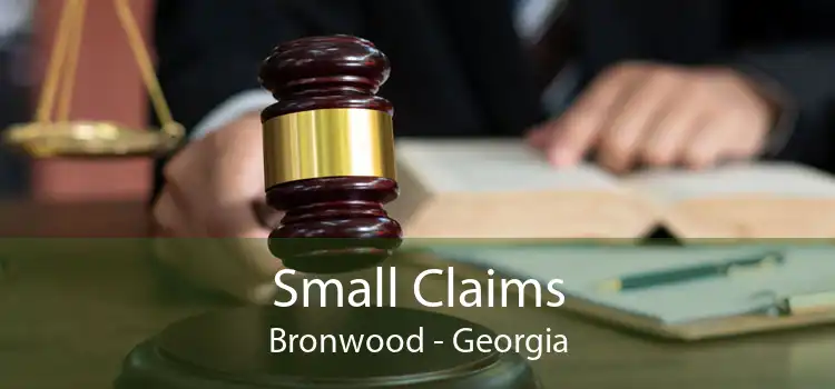 Small Claims Bronwood - Georgia