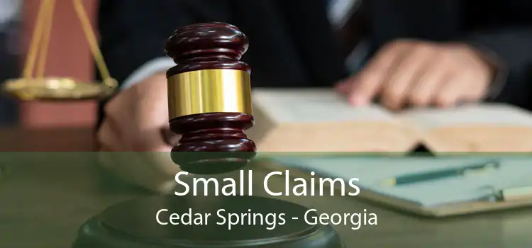Small Claims Cedar Springs - Georgia