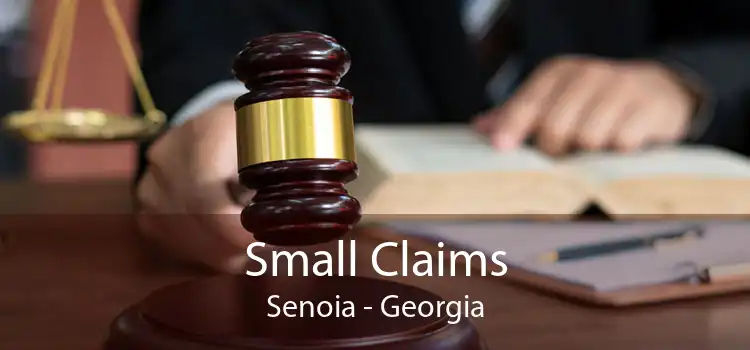 Small Claims Senoia - Georgia