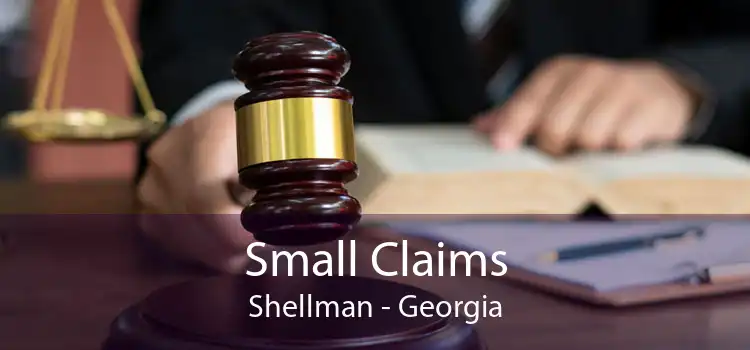 Small Claims Shellman - Georgia